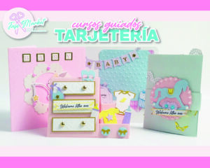 tarjeteria categoria
